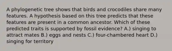 A phylogenetic tree shows that birds and crocodiles share many features. A hypothesis based on this tree predicts that these features are present in a common ancestor. Which of these predicted traits is supported by fossil evidence? A.) singing to attract mates B.) eggs and nests C.) four-chambered heart D.) singing for territory