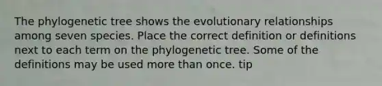 The phylogenetic tree shows the evolutionary relationships among seven species. Place the correct definition or definitions next to each term on the phylogenetic tree. Some of the definitions may be used more than once. tip