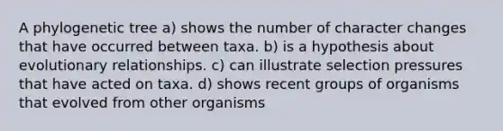 A phylogenetic tree a) shows the number of character changes that have occurred between taxa. b) is a hypothesis about evolutionary relationships. c) can illustrate selection pressures that have acted on taxa. d) shows recent groups of organisms that evolved from other organisms