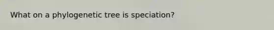 What on a phylogenetic tree is speciation?