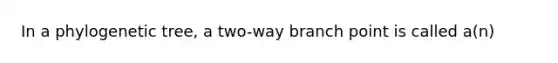 In a phylogenetic tree, a two-way branch point is called a(n)