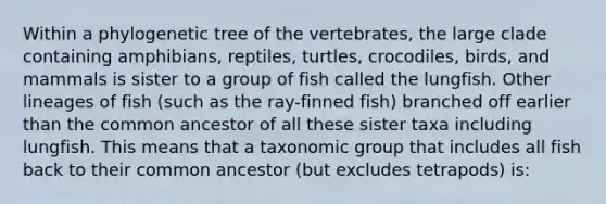 Within a phylogenetic tree of the vertebrates, the large clade containing amphibians, reptiles, turtles, crocodiles, birds, and mammals is sister to a group of fish called the lungfish. Other lineages of fish (such as the ray-finned fish) branched off earlier than the common ancestor of all these sister taxa including lungfish. This means that a taxonomic group that includes all fish back to their common ancestor (but excludes tetrapods) is: