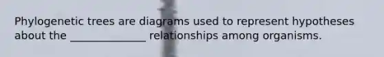 Phylogenetic trees are diagrams used to represent hypotheses about the ______________ relationships among organisms.