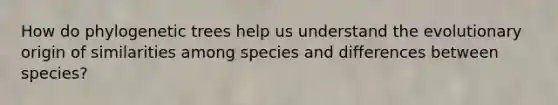 How do phylogenetic trees help us understand the evolutionary origin of similarities among species and differences between species?