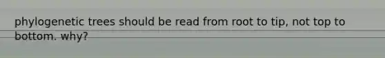 phylogenetic trees should be read from root to tip, not top to bottom. why?