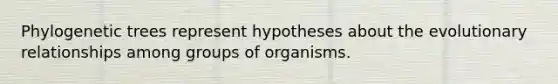 Phylogenetic trees represent hypotheses about the evolutionary relationships among groups of organisms.