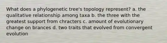 What does a phylogenetic tree's topology represent? a. the qualitative relationship among taxa b. the three with the greatest support from chracters c. amount of evolutionary change on brances d. two traits that evolved from convergent evolution