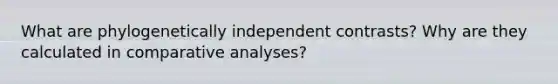 What are phylogenetically independent contrasts? Why are they calculated in comparative analyses?