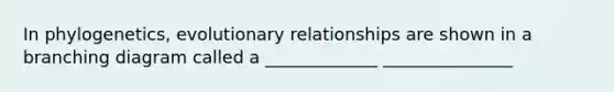 In phylogenetics, evolutionary relationships are shown in a branching diagram called a _____________ _______________