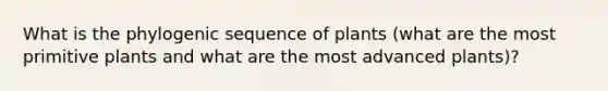 What is the phylogenic sequence of plants (what are the most primitive plants and what are the most advanced plants)?