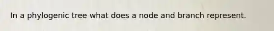 In a phylogenic tree what does a node and branch represent.