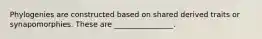 Phylogenies are constructed based on shared derived traits or synapomorphies. These are ________________.