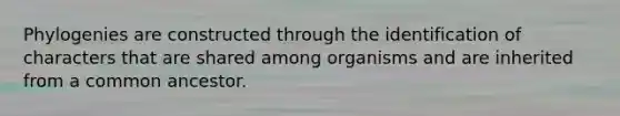 Phylogenies are constructed through the identification of characters that are shared among organisms and are inherited from a common ancestor.