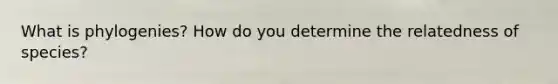 What is phylogenies? How do you determine the relatedness of species?