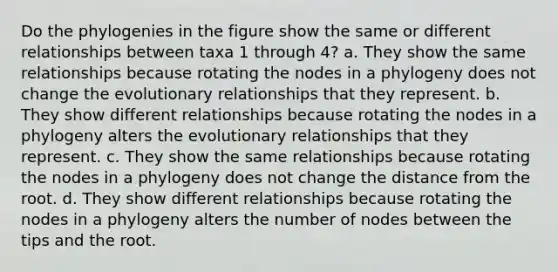 Do the phylogenies in the figure show the same or different relationships between taxa 1 through 4? a. They show the same relationships because rotating the nodes in a phylogeny does not change the evolutionary relationships that they represent. b. They show different relationships because rotating the nodes in a phylogeny alters the evolutionary relationships that they represent. c. They show the same relationships because rotating the nodes in a phylogeny does not change the distance from the root. d. They show different relationships because rotating the nodes in a phylogeny alters the number of nodes between the tips and the root.