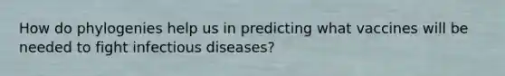 How do phylogenies help us in predicting what vaccines will be needed to fight infectious diseases?