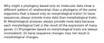 Why might a phylogeny based only on molecular data show a different pattern of relationships than a phylogeny of the same organisms that is based only on morphological traits? A) Gene sequences always provide more data than morphological traits. B) Morphological analyses always provide more data because each morphological trait is the result of the expression of many genes. C) Phylogenies based on morphological traits are always inconsistent. D) Gene sequence changes may not result in morphological changes.