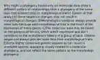 Why might a phylogeny based only on molecular data show a different pattern of relationships than a phylogeny of the same taxa that is based only on morphological traits? (Select all that apply.) A) Gene sequence changes may not result in morphological changes. B)Morphological analyses always provide more data because each morphological trait is the result of the expression of many genes. C)The molecular data may be based on the analysis of introns, which aren't expressed and don't contribute to the evolutionary history of a group of taxa. D)Gene sequences always provide more data than morphological traits. E)Some highly conserved genetic sequences can result in unrelated species appearing closely related in a molecular phylogeny, and not reflect the same pattern as the morphologic phylogeny.