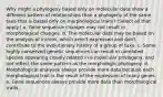 Why might a phylogeny based only on molecular data show a different pattern of relationships than a phylogeny of the same taxa that is based only on morphological traits? (Select all that apply.) a. Gene sequence changes may not result in morphological changes. b. The molecular data may be based on the analysis of introns, which aren't expressed and don't contribute to the evolutionary history of a group of taxa. c. Some highly conserved genetic sequences can result in unrelated species appearing closely related in a molecular phylogeny, and not reflect the same pattern as the morphologic phylogeny. d. Morphological analyses always provide more data because each morphological trait is the result of the expression of many genes. e. Gene sequences always provide more data than morphological traits.