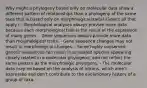 Why might a phylogeny based only on molecular data show a different pattern of relationships than a phylogeny of the same taxa that is based only on morphological traits? (Select all that apply.) - Morphological analyses always provide more data because each morphological trait is the result of the expression of many genes. - Gene sequences always provide more data than morphological traits. - Gene sequence changes may not result in morphological changes. - Some highly conserved genetic sequences can result in unrelated species appearing closely related in a molecular phylogeny, and not reflect the same pattern as the morphologic phylogeny. - The molecular data may be based on the analysis of introns, which aren't expressed and don't contribute to the evolutionary history of a group of taxa.