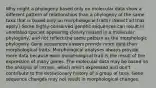 Why might a phylogeny based only on molecular data show a different pattern of relationships than a phylogeny of the same taxa that is based only on morphological traits? (Select all that apply.) Some highly conserved genetic sequences can result in unrelated species appearing closely related in a molecular phylogeny, and not reflect the same pattern as the morphologic phylogeny. Gene sequences always provide more data than morphological traits. Morphological analyses always provide more data because each morphological trait is the result of the expression of many genes. The molecular data may be based on the analysis of introns, which aren't expressed and don't contribute to the evolutionary history of a group of taxa. Gene sequence changes may not result in morphological changes.