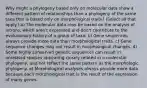 Why might a phylogeny based only on molecular data show a different pattern of relationships than a phylogeny of the same taxa that is based only on morphological traits? (Select all that apply.) a) The molecular data may be based on the analysis of introns, which aren't expressed and don't contribute to the evolutionary history of a group of taxa. b) Gene sequences always provide more data than morphological traits. c) Gene sequence changes may not result in morphological changes. d) Some highly conserved genetic sequences can result in unrelated species appearing closely related in a molecular phylogeny, and not reflect the same pattern as the morphologic phylogeny. e) Morphological analyses always provide more data because each morphological trait is the result of the expression of many genes.