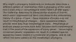 Why might a phylogeny based only on molecular data show a different pattern of relationships than a phylogeny of the same taxa based only on morphological traits? Select all that apply. - The molecular data may be based on the analysis of introns, which aren't expressed and don't contribute to the evolutionary history of a group of taxa. - Gene sequence changes may not result in morphological changes. - Gene sequences always provide more data than morphological traits. - Morphological analyses always provide more data, because each morphological trait is the result of the expression of many genes. - Some highly conserved genetic sequences can result in unrelated species appearing closely related in a molecular phylogeny, and do not reflect the same pattern as the morphologic phylogeny.