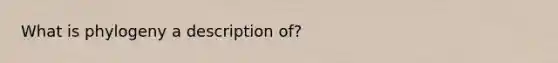 What is phylogeny a description of?