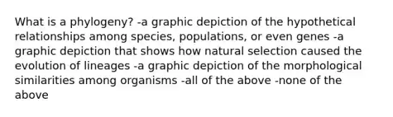 What is a phylogeny? -a graphic depiction of the hypothetical relationships among species, populations, or even genes -a graphic depiction that shows how natural selection caused the evolution of lineages -a graphic depiction of the morphological similarities among organisms -all of the above -none of the above