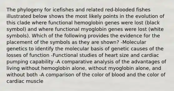 The phylogeny for icefishes and related red-blooded fishes illustrated below shows the most likely points in the evolution of this clade where functional hemoglobin genes were lost (black symbol) and where functional myoglobin genes were lost (white symbols). Which of the following provides the evidence for the placement of the symbols as they are shown? -Molecular genetics to identify the molecular basis of genetic causes of the losses of function -Functional studies of heart size and cardiac pumping capability -A comparative analysis of the advantages of living without hemoglobin alone, without myoglobin alone, and without both -A comparison of the color of blood and the color of cardiac muscle