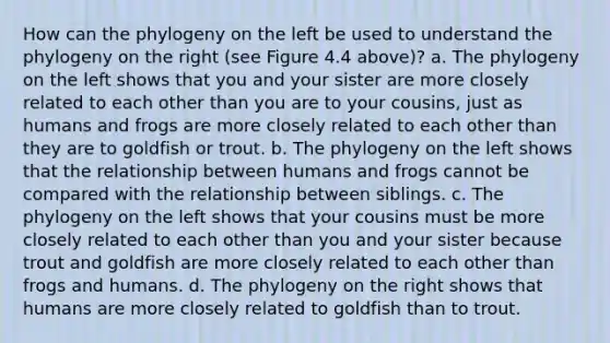 How can the phylogeny on the left be used to understand the phylogeny on the right (see Figure 4.4 above)? a. The phylogeny on the left shows that you and your sister are more closely related to each other than you are to your cousins, just as humans and frogs are more closely related to each other than they are to goldfish or trout. b. The phylogeny on the left shows that the relationship between humans and frogs cannot be compared with the relationship between siblings. c. The phylogeny on the left shows that your cousins must be more closely related to each other than you and your sister because trout and goldfish are more closely related to each other than frogs and humans. d. The phylogeny on the right shows that humans are more closely related to goldfish than to trout.