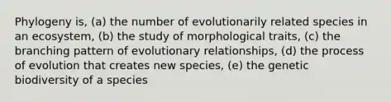 Phylogeny is, (a) the number of evolutionarily related species in an ecosystem, (b) the study of morphological traits, (c) the branching pattern of evolutionary relationships, (d) the process of evolution that creates new species, (e) the genetic biodiversity of a species