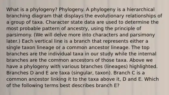 What is a phylogeny? Phylogeny. A phylogeny is a hierarchical branching diagram that displays the evolutionary relationships of a group of taxa. Character state data are used to determine the most probable pattern of ancestry, using the principle of parsimony. (We will delve more into characters and parsimony later.) Each vertical line is a branch that represents either a single taxon lineage or a common ancestor lineage. The top branches are the individual taxa in our study while the internal branches are the common ancestors of those taxa. Above we have a phylogeny with various branches (lineages) highlighted. Branches D and E are taxa (singular, taxon). Branch C is a common ancestor linking it to the taxa above it, D and E. Which of the following terms best describes branch E?