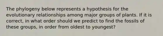 The phylogeny below represents a hypothesis for the evolutionary relationships among major groups of plants. If it is correct, in what order should we predict to find the fossils of these groups, in order from oldest to youngest?