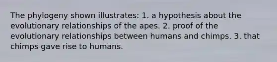 The phylogeny shown illustrates: 1. a hypothesis about the evolutionary relationships of the apes. 2. proof of the evolutionary relationships between humans and chimps. 3. that chimps gave rise to humans.