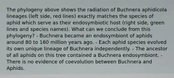 The phylogeny above shows the radiation of Buchnera aphidicola lineages (left side, red lines) exactly matches the species of aphid which serve as their endosymbiotic host (right side, green lines and species names). What can we conclude from this phylogeny? - Buchnera became an endosymbiont of aphids around 80 to 160 million years ago. - Each aphid species evolved its own unique lineage of Buchnera independently. - The ancestor of all aphids on this tree contained a Buchnera endosymbiont. - There is no evidence of coevolution between Buchnera and Aphids.