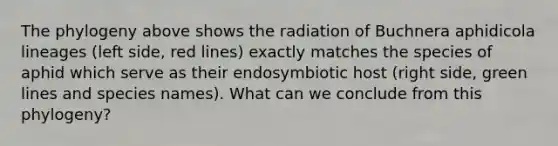 The phylogeny above shows the radiation of Buchnera aphidicola lineages (left side, red lines) exactly matches the species of aphid which serve as their endosymbiotic host (right side, green lines and species names). What can we conclude from this phylogeny?