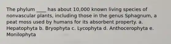 The phylum ____ has about 10,000 known living species of nonvascular plants, including those in the genus Sphagnum, a peat moss used by humans for its absorbent property. a. Hepatophyta b. Bryophyta c. Lycophyta d. Anthocerophyta e. Monilophyta