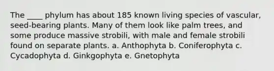 The ____ phylum has about 185 known living species of vascular, seed-bearing plants. Many of them look like palm trees, and some produce massive strobili, with male and female strobili found on separate plants. a. Anthophyta b. Coniferophyta c. Cycadophyta d. Ginkgophyta e. Gnetophyta