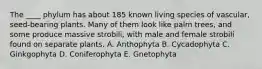 The ____ phylum has about 185 known living species of vascular, seed-bearing plants. Many of them look like palm trees, and some produce massive strobili, with male and female strobili found on separate plants. A. Anthophyta B. Cycadophyta C. Ginkgophyta D. Coniferophyta E. Gnetophyta
