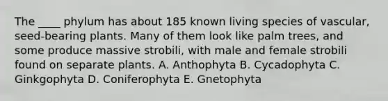 The ____ phylum has about 185 known living species of vascular, seed-bearing plants. Many of them look like palm trees, and some produce massive strobili, with male and female strobili found on separate plants. A. Anthophyta B. Cycadophyta C. Ginkgophyta D. Coniferophyta E. Gnetophyta