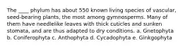 The ____ phylum has about 550 known living species of vascular, seed-bearing plants, the most among gymnosperms. Many of them have needlelike leaves with thick cuticles and sunken stomata, and are thus adapted to dry conditions. a. Gnetophyta b. Coniferophyta c. Anthophyta d. Cycadophyta e. Ginkgophyta