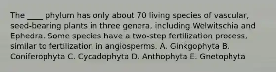 The ____ phylum has only about 70 living species of vascular, seed-bearing plants in three genera, including Welwitschia and Ephedra. Some species have a two-step fertilization process, similar to fertilization in angiosperms. A. Ginkgophyta B. Coniferophyta C. Cycadophyta D. Anthophyta E. Gnetophyta