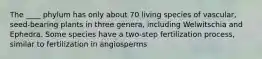 The ____ phylum has only about 70 living species of vascular, seed-bearing plants in three genera, including Welwitschia and Ephedra. Some species have a two-step fertilization process, similar to fertilization in angiosperms