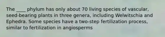 The ____ phylum has only about 70 living species of vascular, seed-bearing plants in three genera, including Welwitschia and Ephedra. Some species have a two-step fertilization process, similar to fertilization in angiosperms