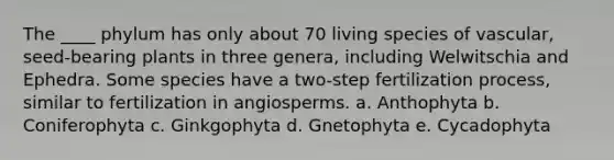 The ____ phylum has only about 70 living species of vascular, seed-bearing plants in three genera, including Welwitschia and Ephedra. Some species have a two-step fertilization process, similar to fertilization in angiosperms. a. Anthophyta b. Coniferophyta c. Ginkgophyta d. Gnetophyta e. Cycadophyta