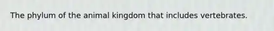 The phylum of the animal kingdom that includes vertebrates.
