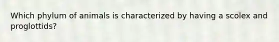 Which phylum of animals is characterized by having a scolex and proglottids?