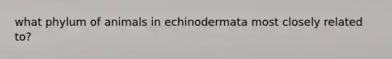 what phylum of animals in echinodermata most closely related to?