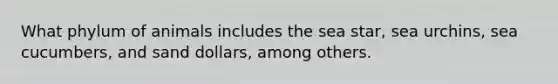 What phylum of animals includes the sea star, sea urchins, sea cucumbers, and sand dollars, among others.